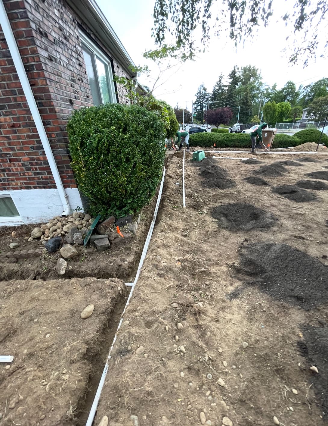 Irrigation installation and repair project in Pierce County WA