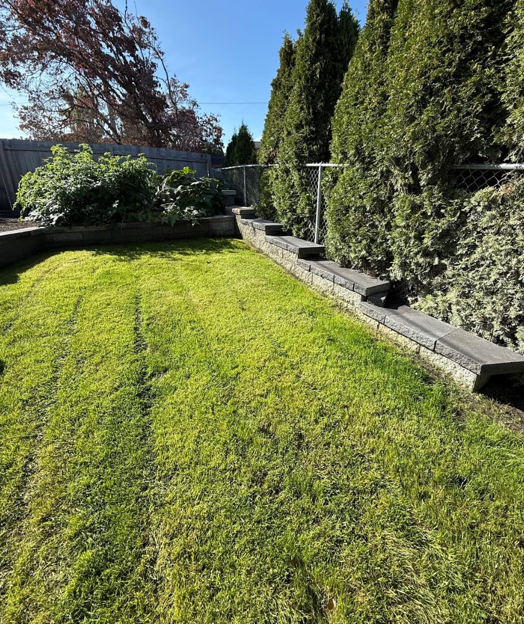Sod installation project in Pierce County WA