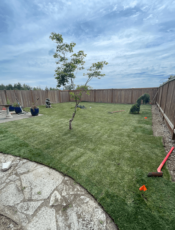 Aerial view of full yard renovation site before final install in Tacoma WA