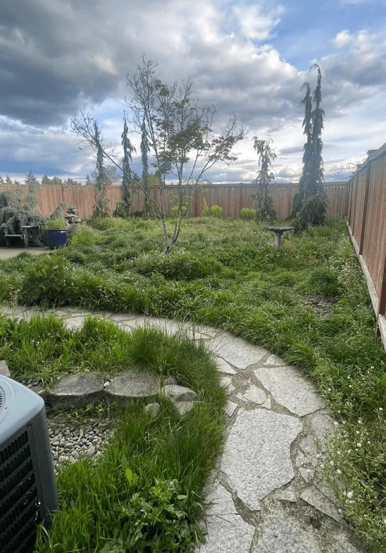 Rough yard condition before full landscape renovation in Tacoma WA